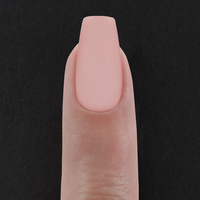 Ongles prêts-à-porter - Sheers Pink