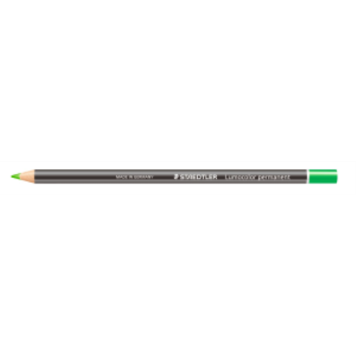 Lumocolor permanent glasochrom Waterproof dry marker - Green