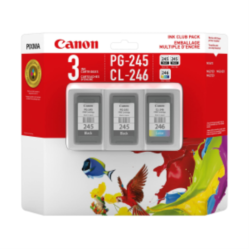 Ensemble d’encre Canon PG-245/CL-246 — noir et couleur (8279B005)