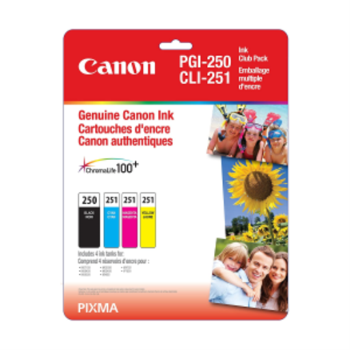 Cartouche d’encre Canon PGI-250 — noir, ensemble multipack