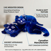 PDP graphic forfdmt manimo Weighted Cat - 2 kg, highlighting benefits with pointer lines and minimal text.