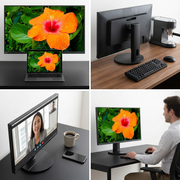 A 3/4 view photograph of the SHARP/NEC E271N-BK 27-inch narrow-bezel monitor resting on a modern desk beside an open 13-inch laptop, clearly illustrating its size and scale. The screen displays a vivid image.