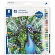 A high-resolution, pure product hero shot of the 127BCC48A6 Staedtler 48 coloured pencils set.