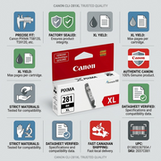 Infographic for Canon CLI-281XL ink (SKU 2037C001), detailing fit, quality, and shipping, for PIXMA printers.