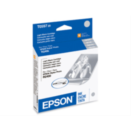 Cartouche d’encre Epson T059720 — noir clair