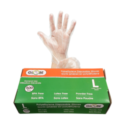 Gants jetables en polyéthylène sans poudre — grand, boîte de 500