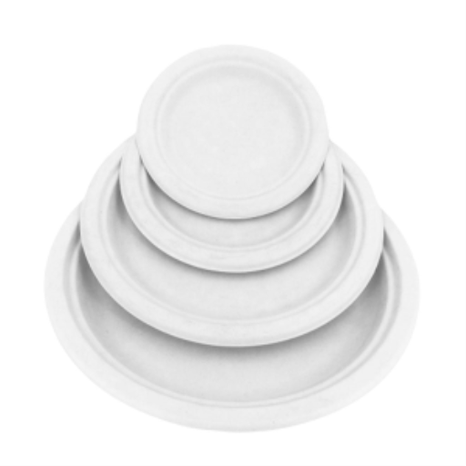 Assiettes compostables — 10 po (50 unités)