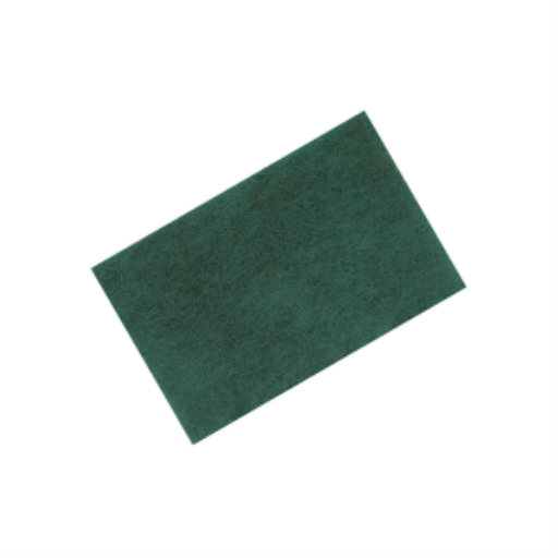 Tampon à récurer — 6 x 9 po, vert