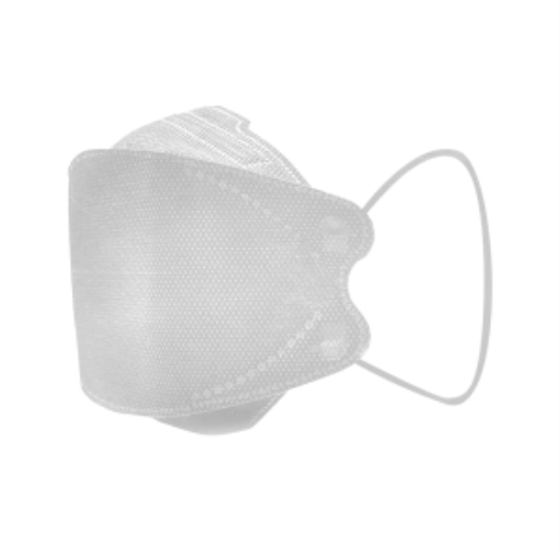 Masques KN95 Globe — boîte de 20