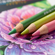 An extreme macro photograph of the sharpened points and wood barrels of a purple and pink Prismacolor Premier pencil over the detailed purple flower art of the metal tin.