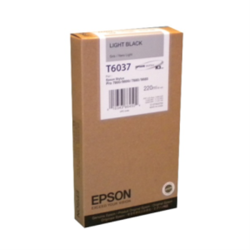 Cartouche d’encre Epson T603700 — noir clair