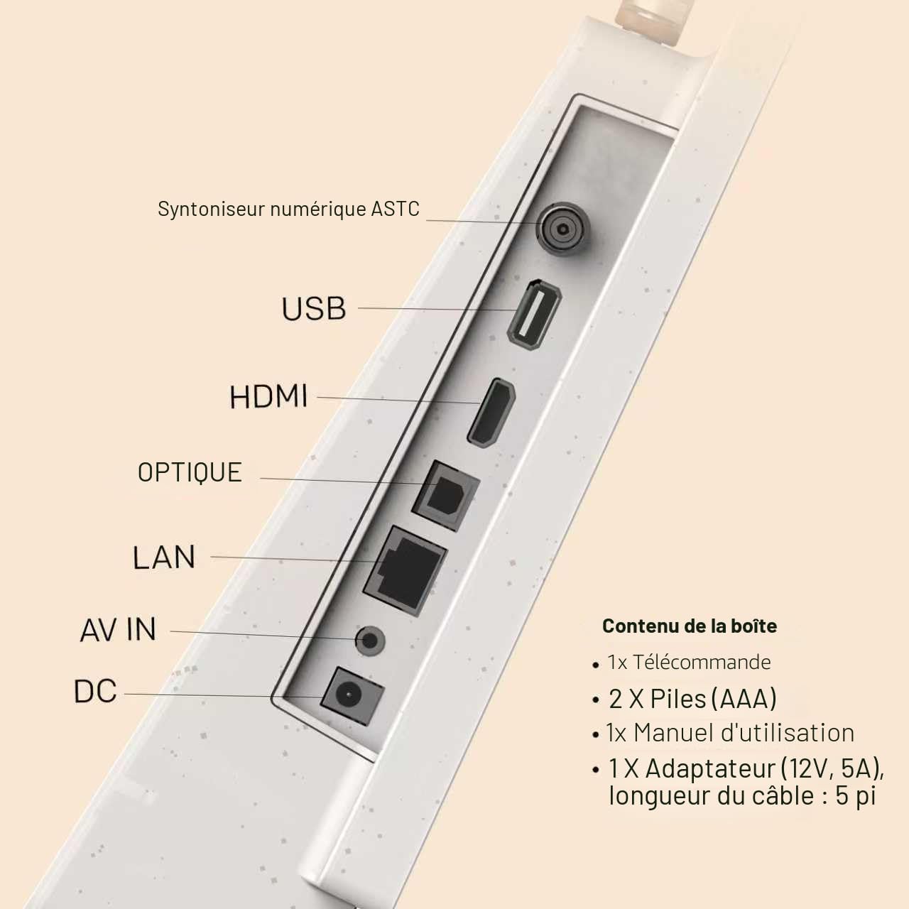 Skyworth P-100 téléviseur 24 po