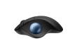 LOGITECH ERGO M575 S - NOIR