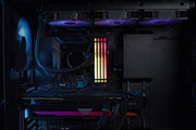 Kingston Technology FURY Beast 32 Go 5600 MT/s DDR5 CL36 DIMM (Kits de 2) RGB