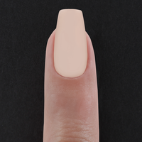 Ongles prêts-à-porter - Sheers Nude
