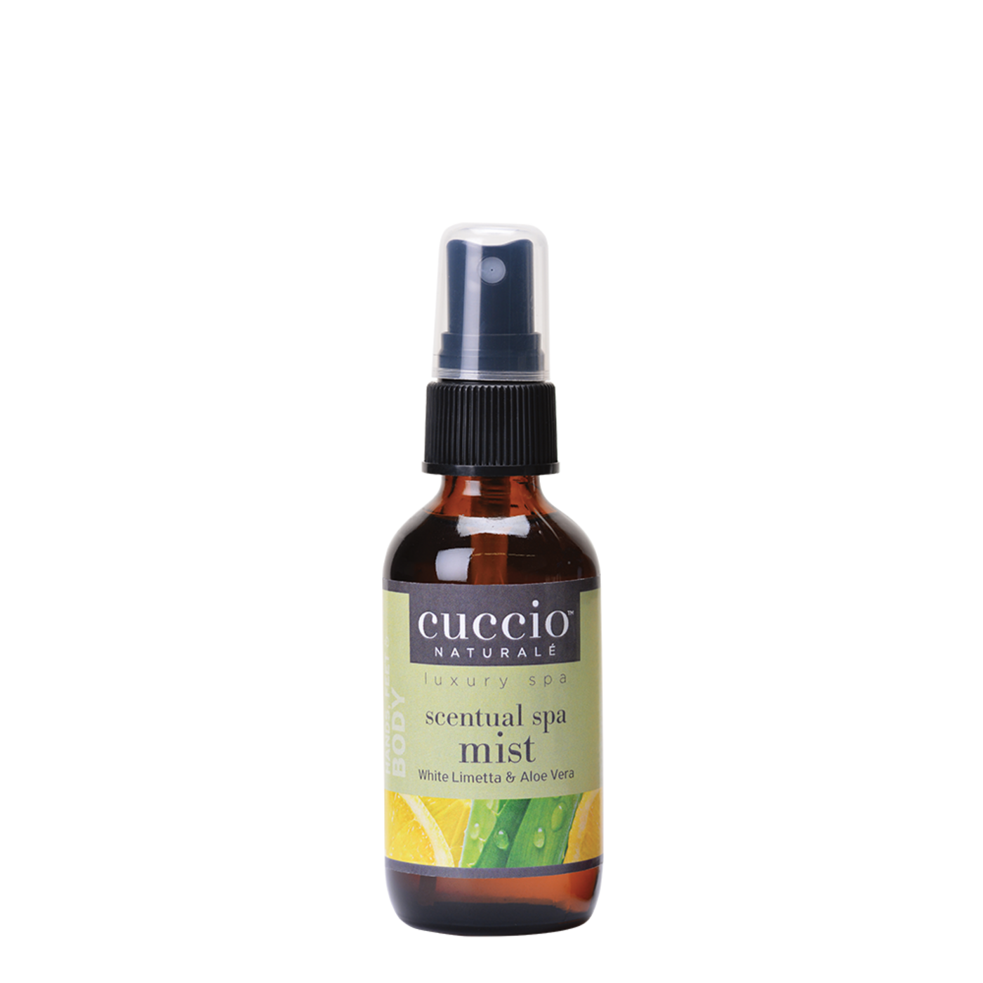 Brume d'ambiance